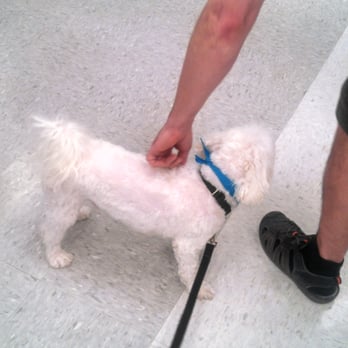 Petco - Telling his friend see ya.. - Pet Stores Near Me - Chicago, Illinois