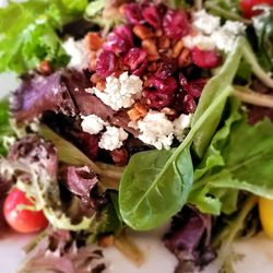 The Perfect Landing Restaurant - Salad - yummy