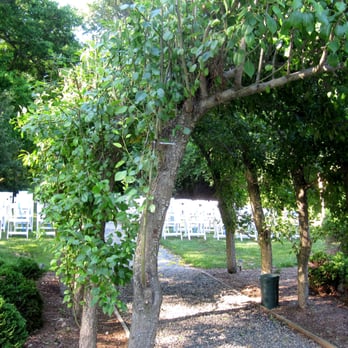 Elk Forge Bed & Breakfast - Covered arbor in the garden - Hotels Near Me - Elkton, Maryland Elk Forge Bed & Breakfast - Covered arbor in the garden - Hotels Near Me - Elkton, Maryland