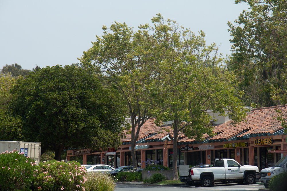 CREEKSIDE CENTER Updated August 2024 1551 Sycamore Ave, Hercules