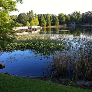 Lake Lily Park - Parks Near Me - Maitland, Florida Lake Lily Park - Parks Near Me - Maitland, Florida