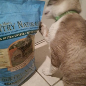 My Pet Market - Feed me, feed me! - Pet Stores Near Me - Phoenix, Arizona My Pet Market - Feed me, feed me! - Pet Stores Near Me - Phoenix, Arizona
