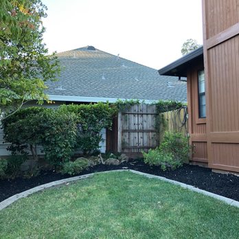 Elite Lawn and Yard Care - a view of a backyard - Gardeners Near Me