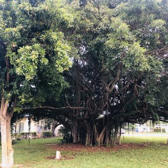 Evergreen Cemetery - Funeral Services & Cemeteries Near Me - Lantana, Florida Evergreen Cemetery - Funeral Services & Cemeteries Near Me - Lantana, Florida