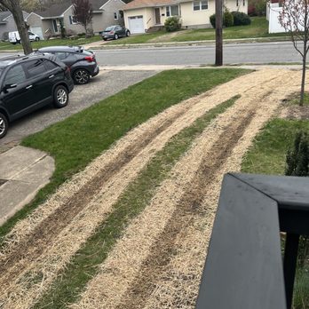 Espj Construction Corp - Tire treads through my freshly seeded front yard - General Contractors Near Me - Linden, New Jersey