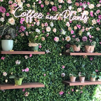 Coffee and Plants - Coffee & Tea Near Me - Pasadena, California