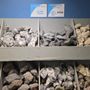 Photo of Fishy Business Aquariums & Supplies