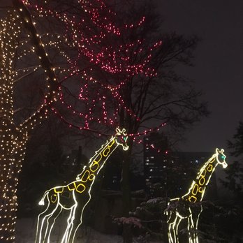 Zoolights - Local Flavor Near Me - Chicago, Illinois