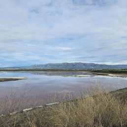 scenic mountain view in the background of pink salt marsh scenic mountain view in the background of pink salt marsh