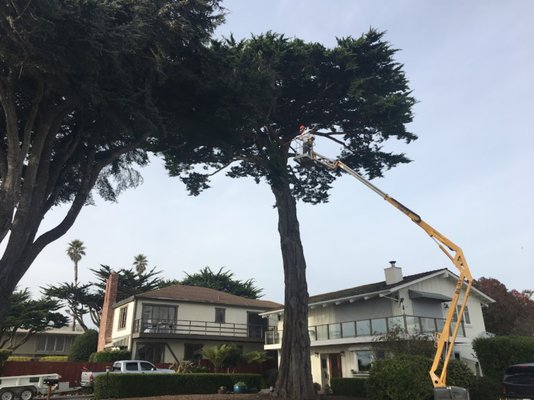 Aerial Lift Services - We are a locally owned and operated tree service and property maintenance business with over 11 years of experience. We offer both commercial and residential services. We provide trimming, thinning and full removals of trees as well as aerial lift and gutter services. Emergency services are available and we are on call 24/7 to assist you. Call us today for a free consultation!