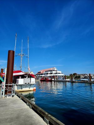 Steveston by null