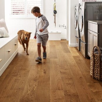 Molyneaux Home - a boy and his dog in the kitchen - Flooring Near Me - Greensburgh, Pennsylvania Molyneaux Home - a boy and his dog in the kitchen - Flooring Near Me - Greensburgh, Pennsylvania