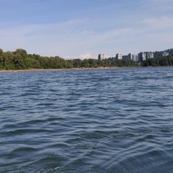 Rocky Point Kayak - View