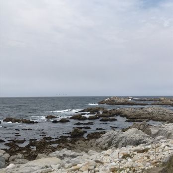 Asilomar Beach - Beaches Near Me - Pacific Grove, California Asilomar Beach - Beaches Near Me - Pacific Grove, California