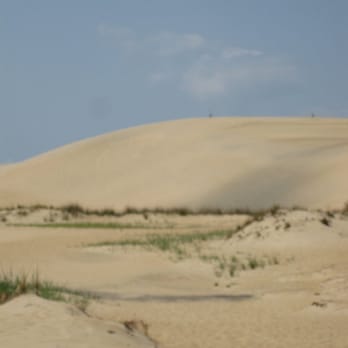 Jockey's Ridge State Park - Jockey's Ridge State Park has amazing large sand dunes! - Parks Near Me - Nags Head, North Carolina Jockey's Ridge State Park - Jockey's Ridge State Park has amazing large sand dunes! - Parks Near Me - Nags Head, North Carolina