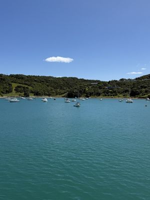Waiheke Island by null