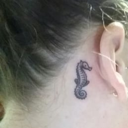 Seahorse from Dan