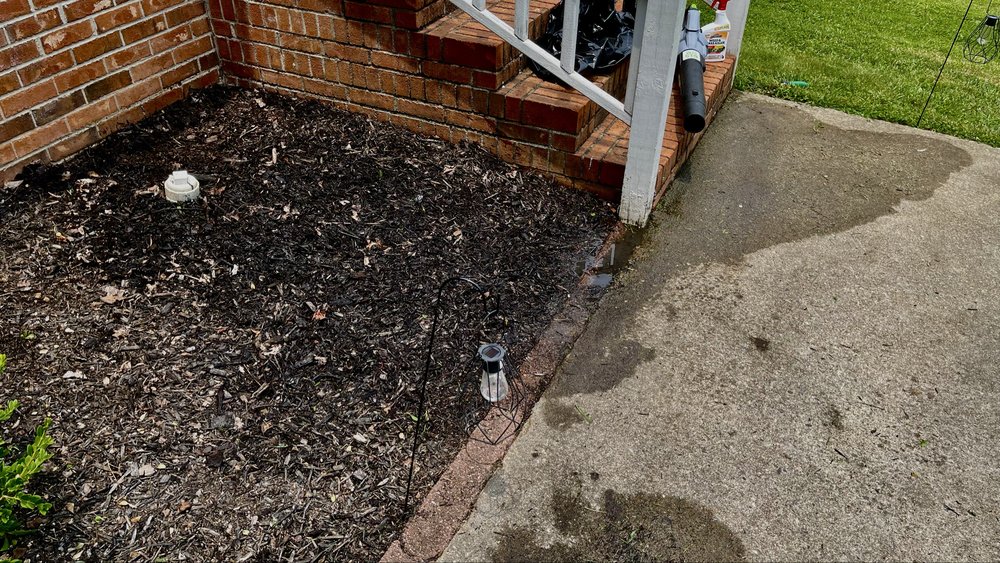 Collins Legacy Lawncare - veterans service organization in Easley , SC