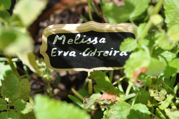 Casa do Barão by null