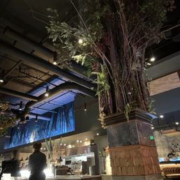 BLIND RABBIT KITCHEN - Updated October 2025 - 354 Photos & 276 Reviews ...