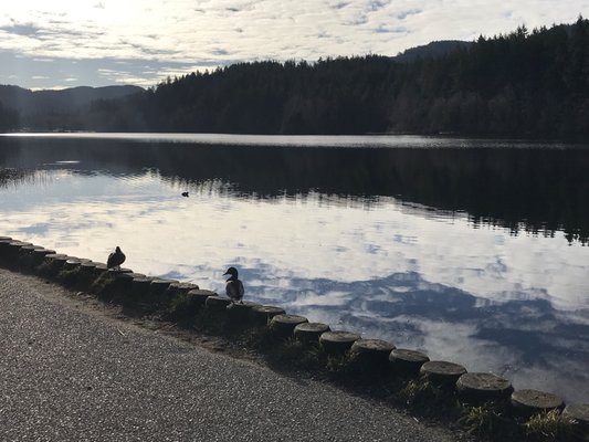 Lake Padden Park by null