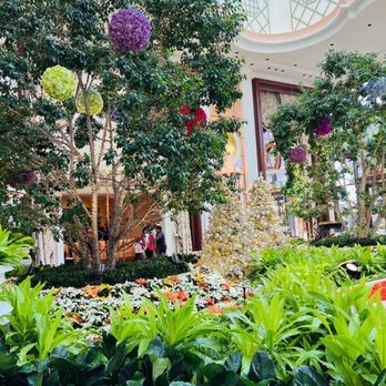 Encore Boston Harbor - Resorts Near Me - Everett, Massachusetts