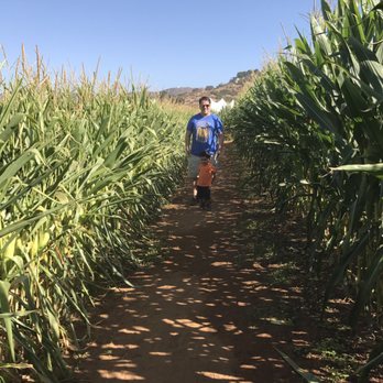 Rancho Bernardo Pumpkin Farm - Corn maze fun - Pumpkin Patches Near Me - San Diego, California Rancho Bernardo Pumpkin Farm - Corn maze fun - Pumpkin Patches Near Me - San Diego, California