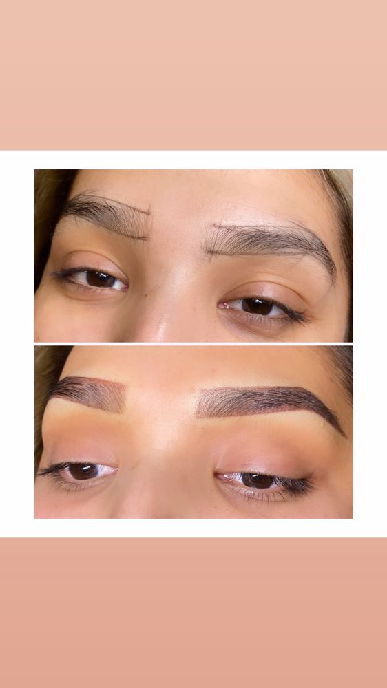 Plush Beauty & Brows Logo