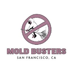 Mold Busters