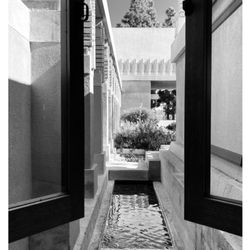 Hollyhock House - Window with a view.