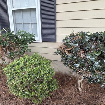 Greer Gardens - Front yard - after - Landscape Architects or Designers Near Me - Fairhope, Alabama