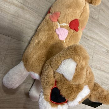 HomeGoods - Buddy for our household pooch - Home Decor Near Me - Rocklin, California