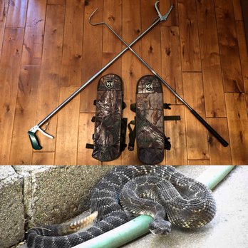 Top Gun Pest Control - Top gun offers live rattlesnake removal! - Pest Control Near Me Top Gun Pest Control - Top gun offers live rattlesnake removal! - Pest Control Near Me