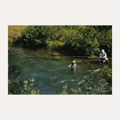 Matt Heron Fly Fishing by null