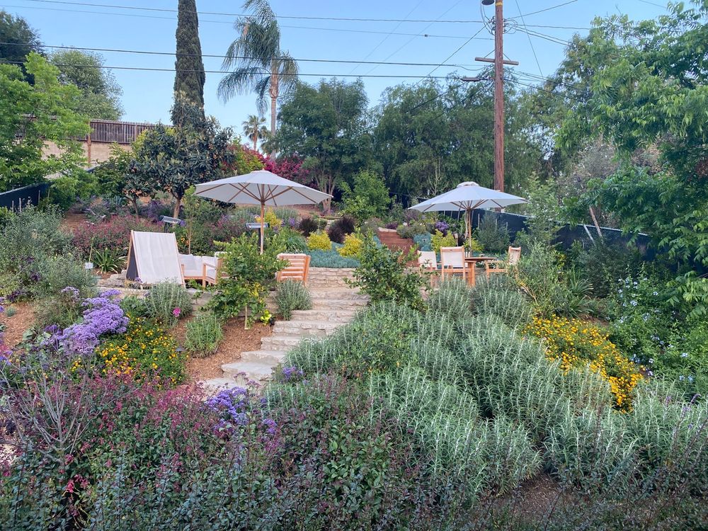 GREENART LANDSCAPE DESIGN 45 Photos & 25 Reviews 8424 Santa Monica