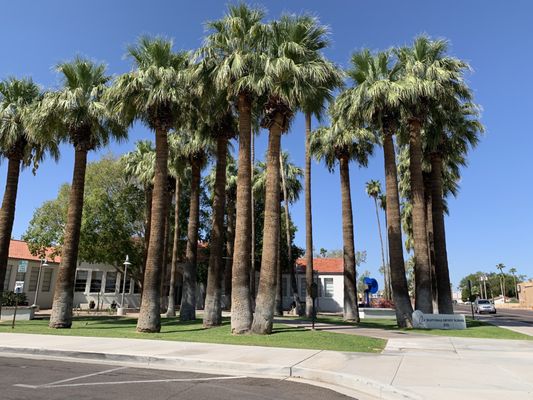 Scottsdale Artists' School by null