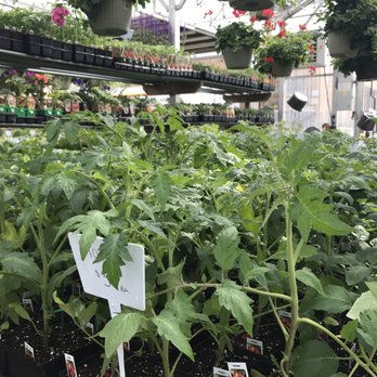 Gurnee Garden Center - Nurseries & Gardening Near Me - Gurnee, Illinois