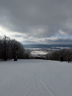 Timberline Mountain by null