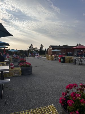 Archie's Lobster by null