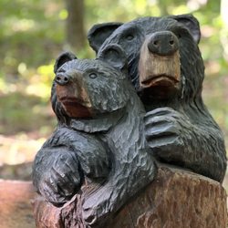 Scenic Caves Nature Adventures - Keep an eye out for the wood carvings that dot the trails.