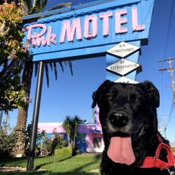 Cadillac Jack's - Bubba visits a famous motel