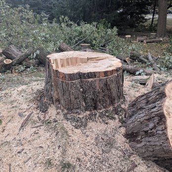 Stubbys Stump Grinding - Tree Services Near Me - Darien Center, New York Stubbys Stump Grinding - Tree Services Near Me - Darien Center, New York