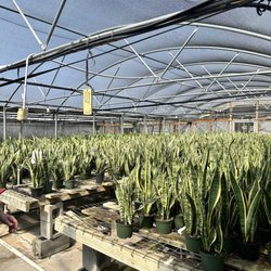Joseph's Nursery