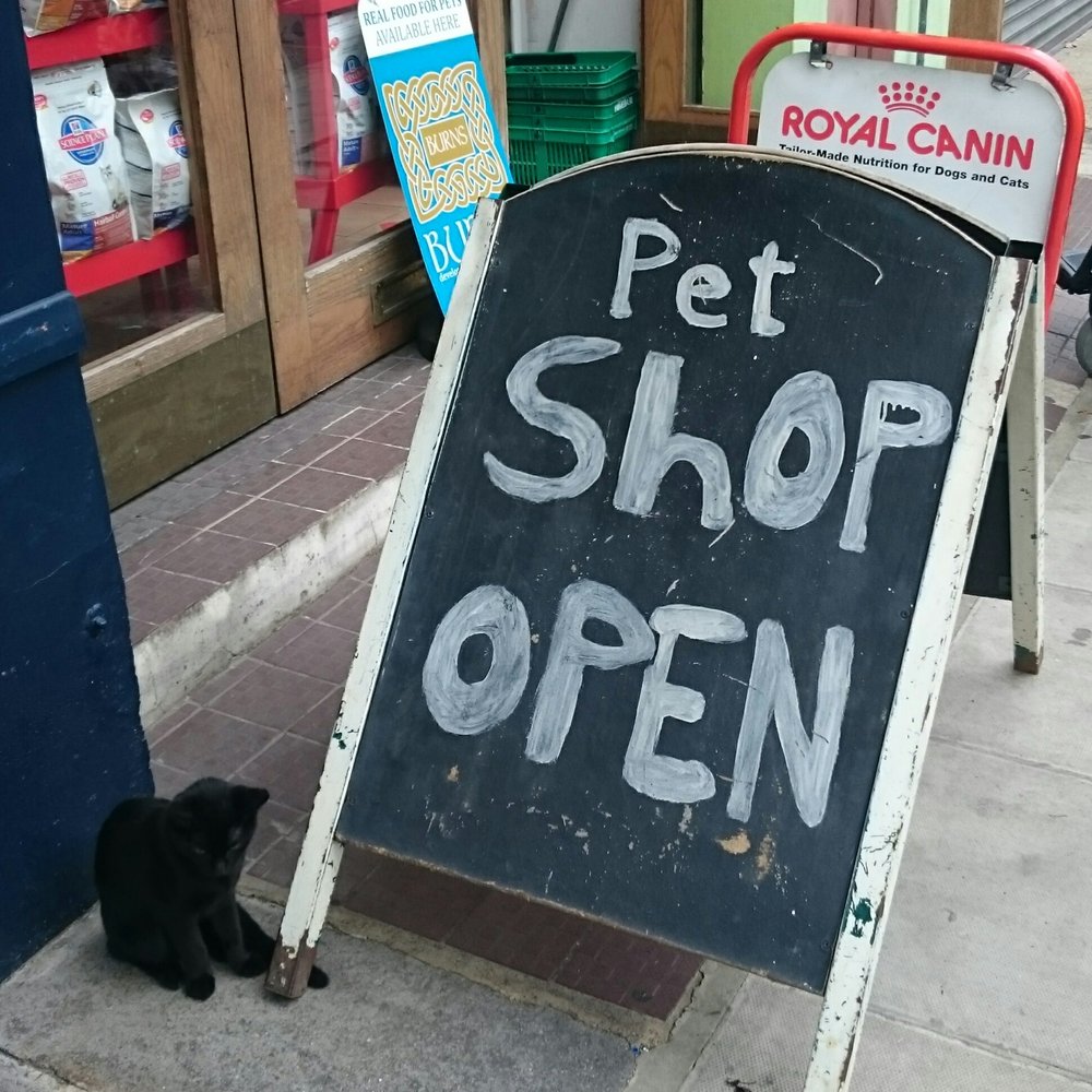 PORTOBELLO PET SHOP Updated June 2024 308 Portobello Road, London