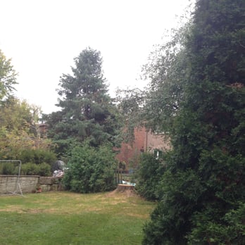 Harmony Tree Service - Tree Services Near Me - Markham, Ontario Harmony Tree Service - Tree Services Near Me - Markham, Ontario