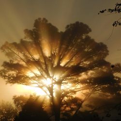 Moonlight Lake Rv Park & Cottages - Morning Light