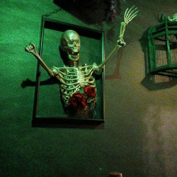 Dark Bloom Coffee Company - a skeleton and a birdcage - Coffee & Tea Near Me - Lebanon, Oregon Dark Bloom Coffee Company - a skeleton and a birdcage - Coffee & Tea Near Me - Lebanon, Oregon