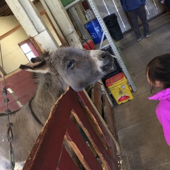The Little Red Barn - #Yelp #TheLittleRedBarn #HaganCommunityPark - Animal Shelters Near Me