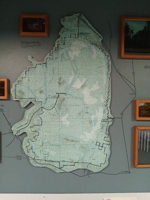 Okefenokee Swamp Park by null