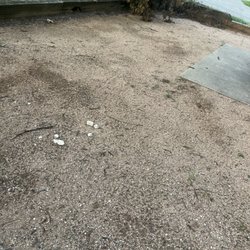 Midway Park - Dead limbs falling from trees